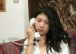 夕阳激情女 海报