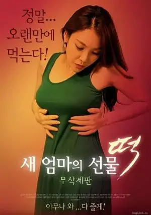 新妈妈的礼物：年糕 海报