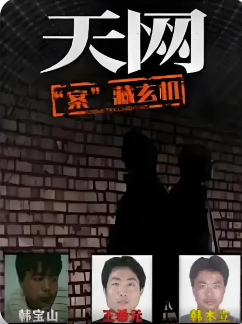 《天网：'案'藏玄机》：刑侦剧背后的真相迷雾，谁是幕后黑手？