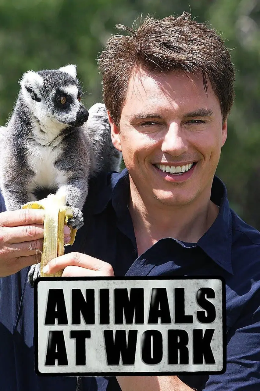 《动物打工记》：萌力全开的职场冒险，看小动物如何用奇招打拼一片天！