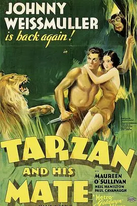 《泰山得美》：野性召唤，味蕾探险，当原始力量邂逅极致享受，一场别开生面的感官盛宴！